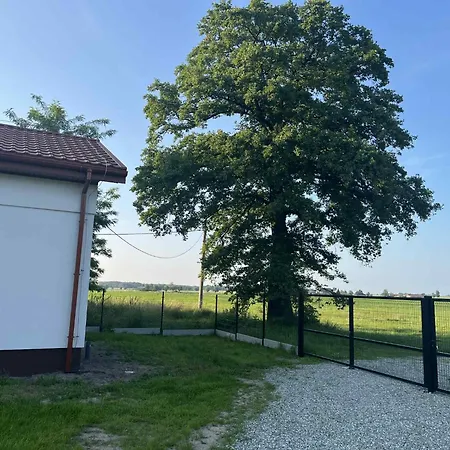 Kasztanowy Zakatek