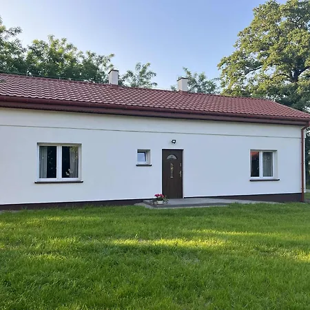 Kasztanowy Zakatek * Kolonia Koscielec
